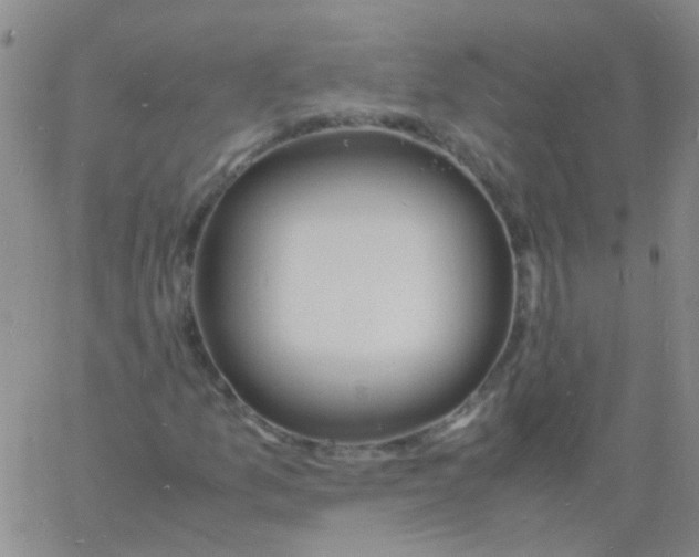 X0000060771157200512082026