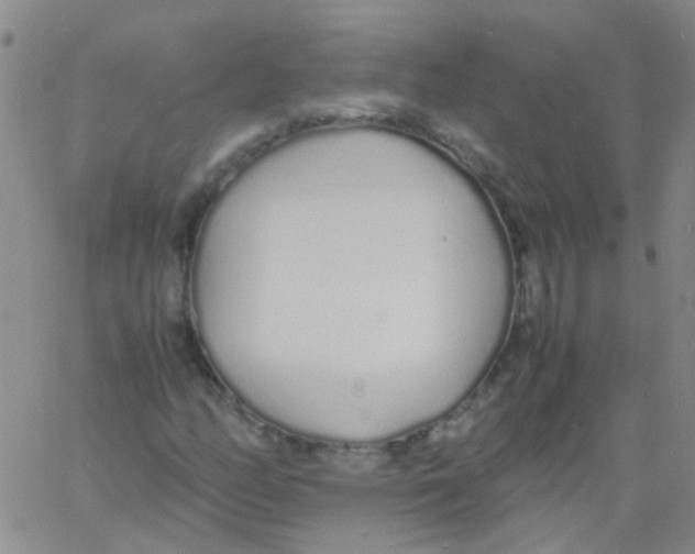 X0000060771158200512082026