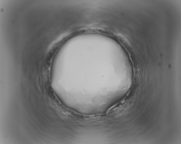 X0000060771159200512082026