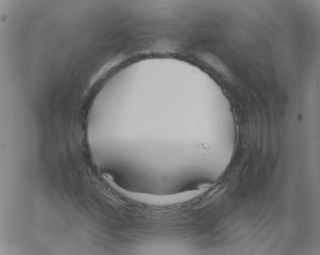 X0000060771160200512082026