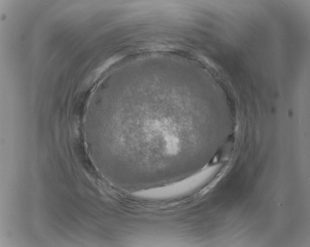 X0000060771161200512082026