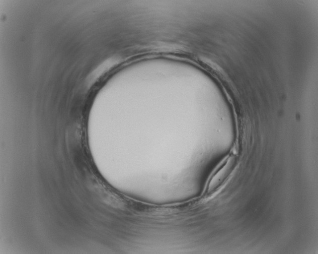 X0000060771163200512082026