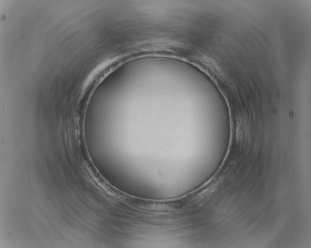 X0000060771164200512082026