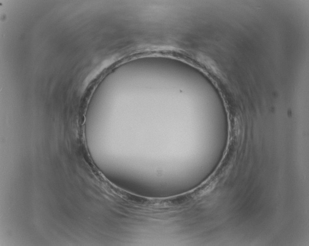 X0000060771165200512082026