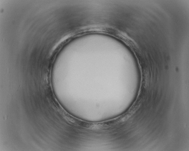 X0000060771166200512082026