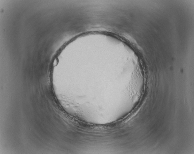 X0000060771167200512082026