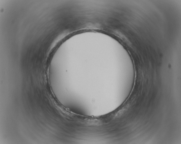 X0000060771168200512082026