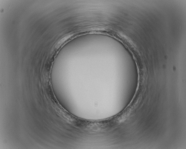 X0000060771169200512082026