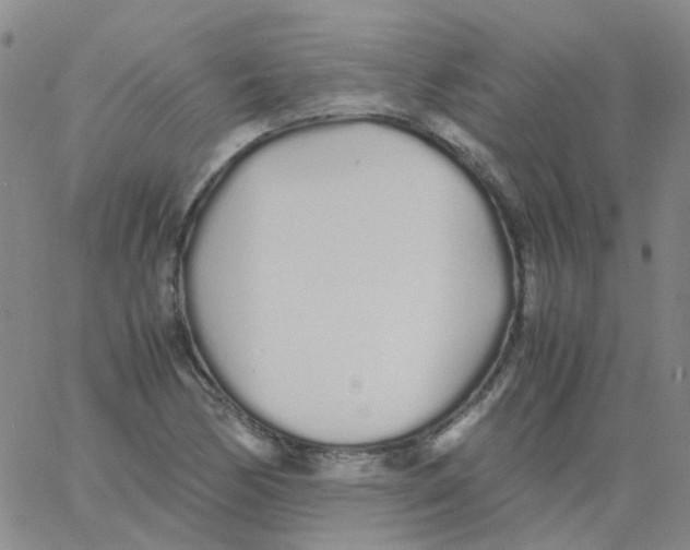 X0000060771170200512082026