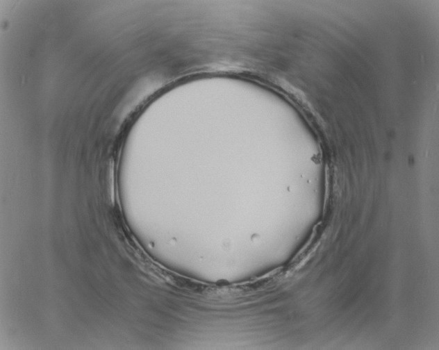 X0000060771171200512082026