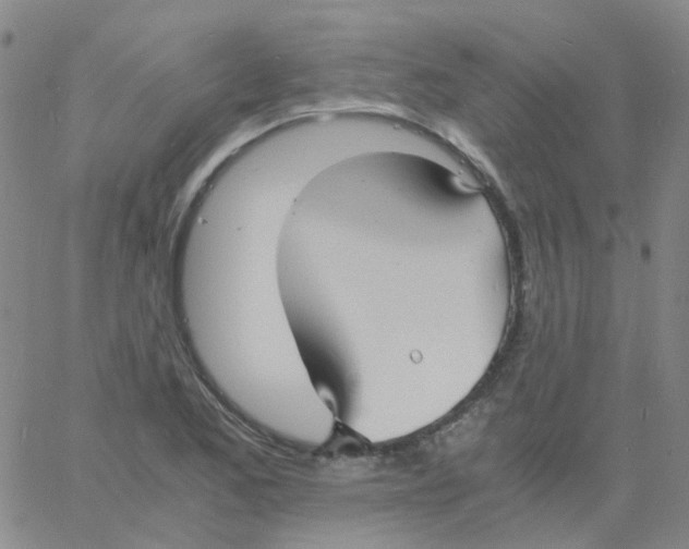 X0000060771173200512082026