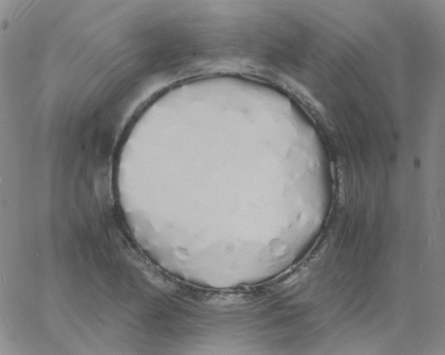 X0000060771174200512082026