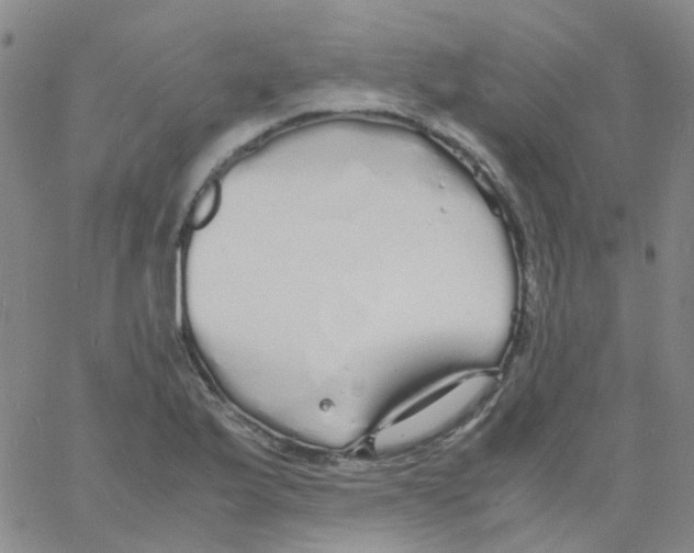 X0000060771175200512082026