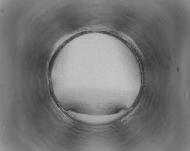 X0000060771176200512082026