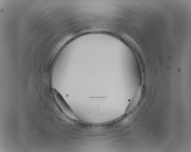 X0000060771177200512082026