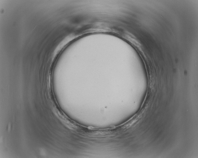 X0000060771179200512082026