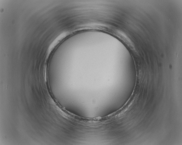 X0000060771180200512082026