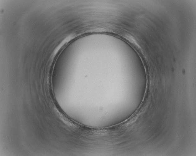 X0000060771181200512082026