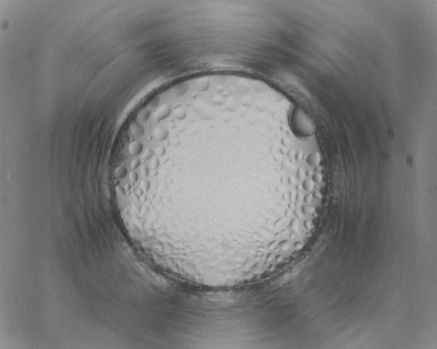 X0000060771182200512082026