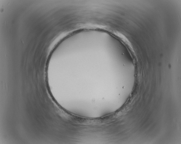 X0000060771183200512082026