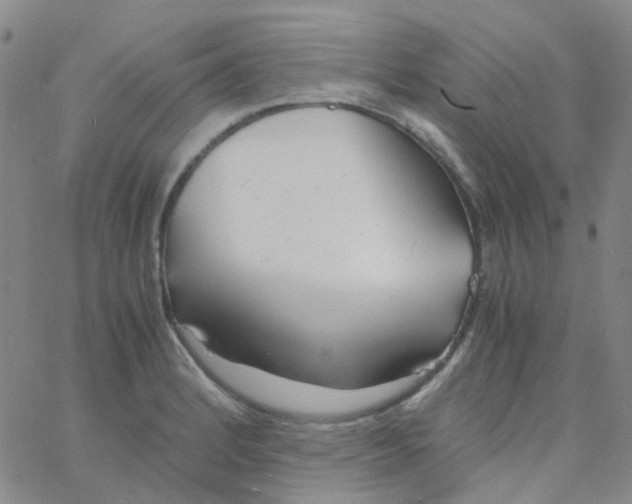 X0000060771184200512082026