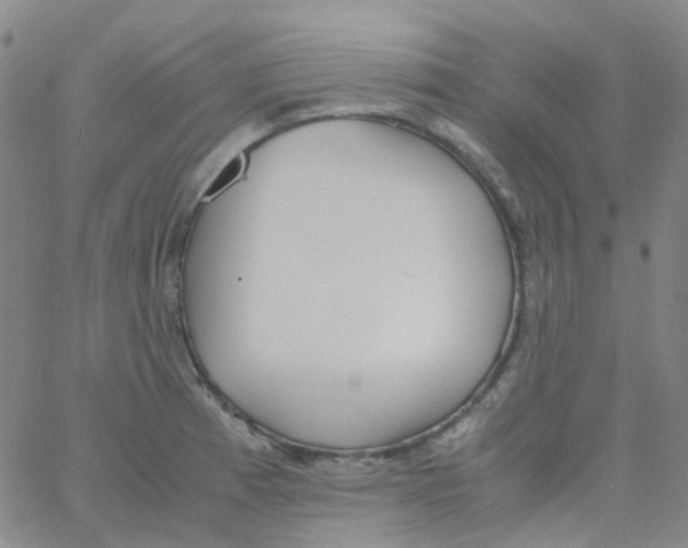 X0000060771185200512082026