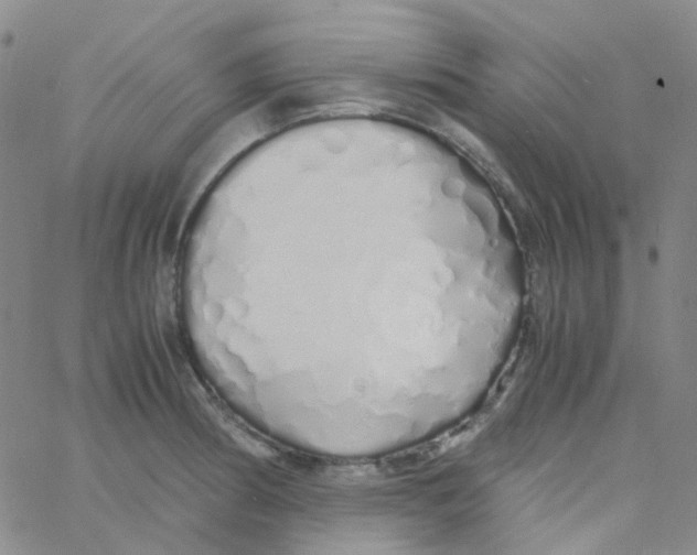 X0000060771186200512082026