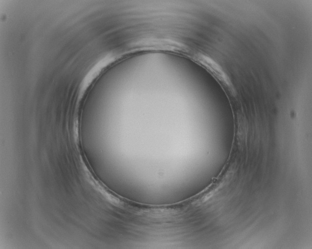 X0000060771188200512082026