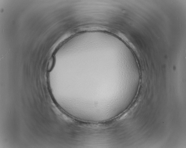 X0000060771189200512082026