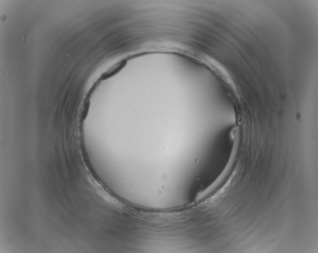 X0000060771192200512082026