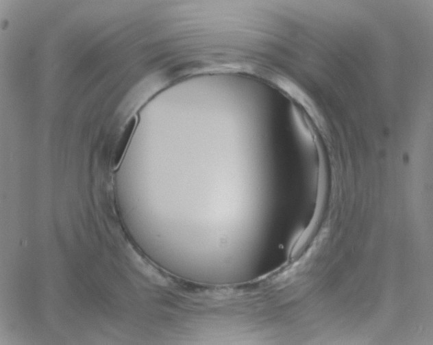 X0000060771193200512082026