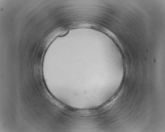 X0000060771194200512082026