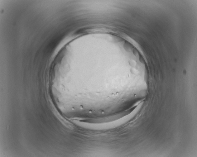 X0000060771195200512082025