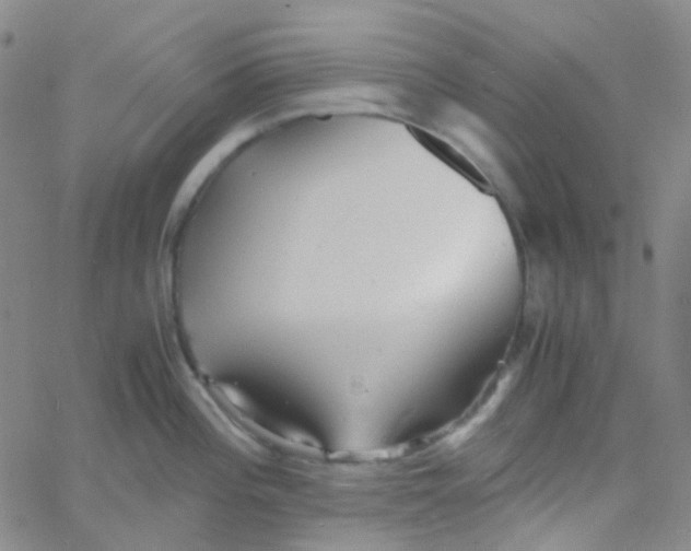 X0000060771196200512082025