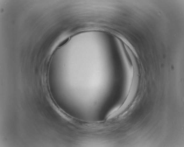 X0000060771197200512082025