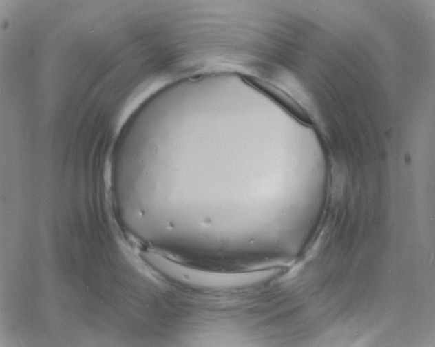 X0000060771198200512082025