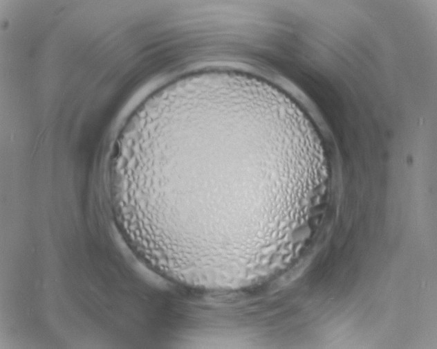 X0000060771199200512082025