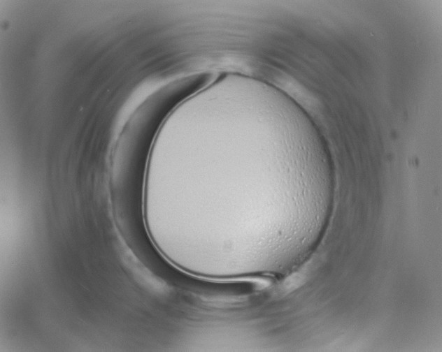 X0000060771200200512082025