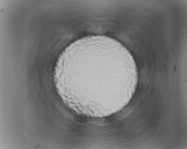 X0000060771201200512082025