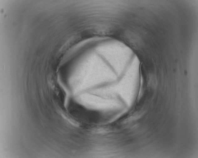 X0000060771202200512082025