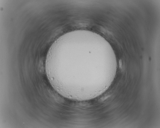 X0000060771203200512082025