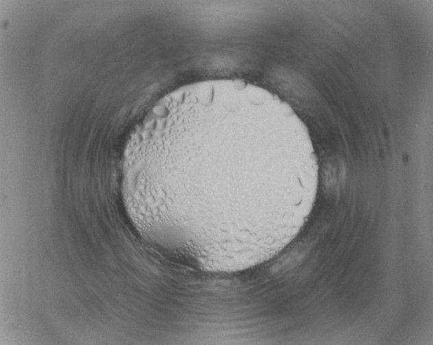 X0000060771204200512082025