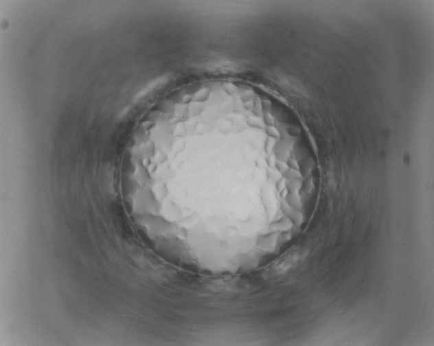 X0000060771205200512082025