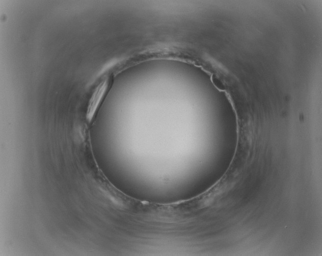 X0000060771206200512082025