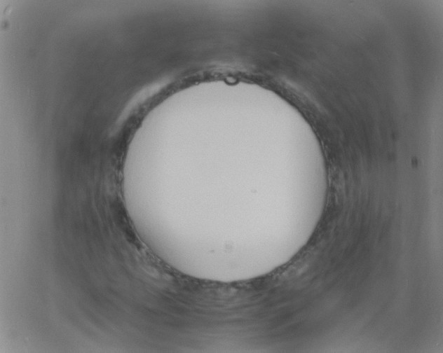 X0000060771207200512082025