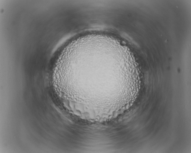 X0000060771208200512082025