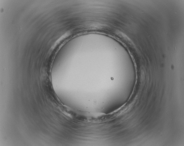 X0000060771210200512082025