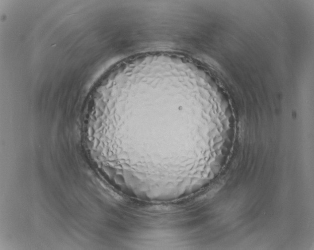 X0000060771212200512082025