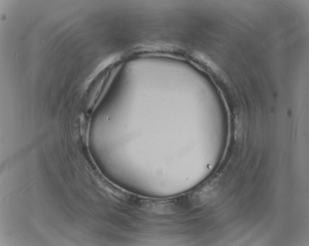 X0000060771213200512082025