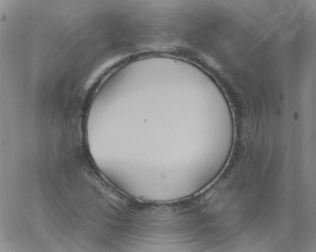 X0000060771214200512082025